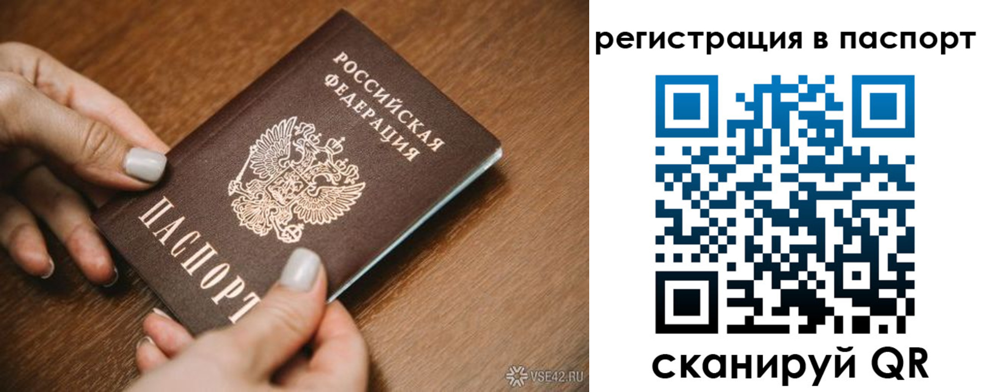 прописка паспорт в Светлом