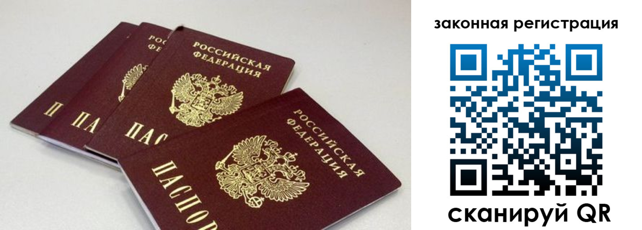временная регистрация в Светлом